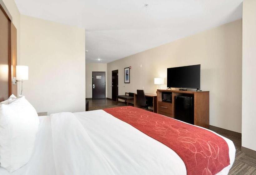 سوئیت برای معلولان, Comfort Suites University