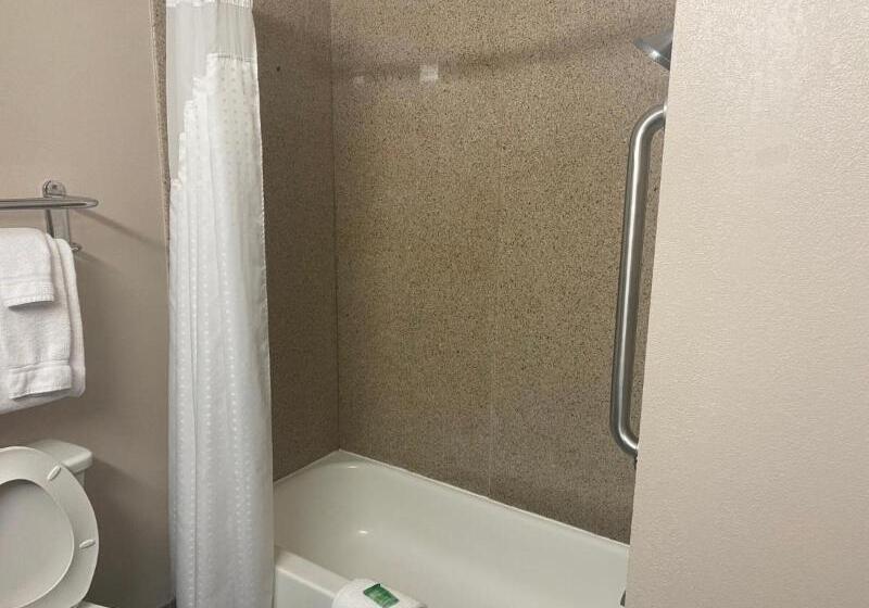 Люкс Адаптированный для Инвалидов, Holiday Inn Express Hotel And Suites Fort Stockton, An Ihg
