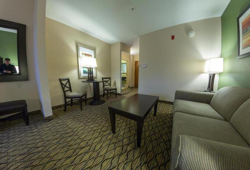 Люкс Адаптированный для Инвалидов, Holiday Inn Express And Suites Winchester, An Ihg