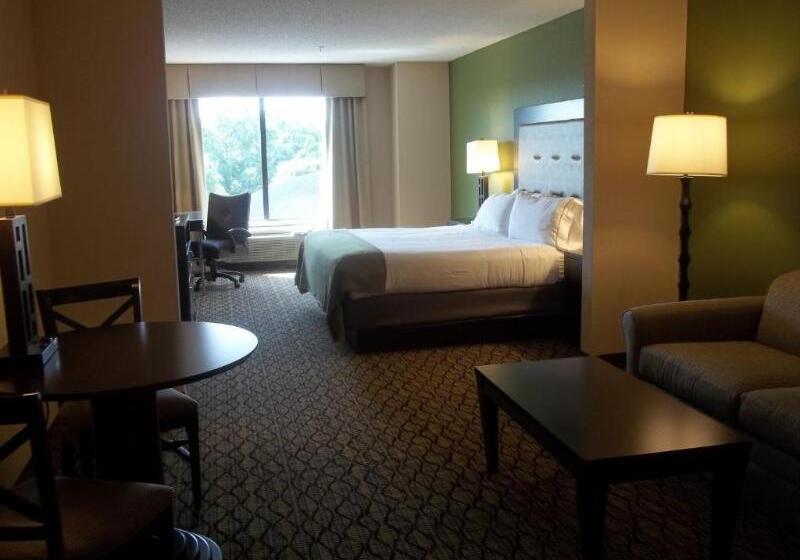 Номер Стандарт Кровать Кинг Адаптированный для Инвалидов, Holiday Inn Express And Suites Winchester, An Ihg