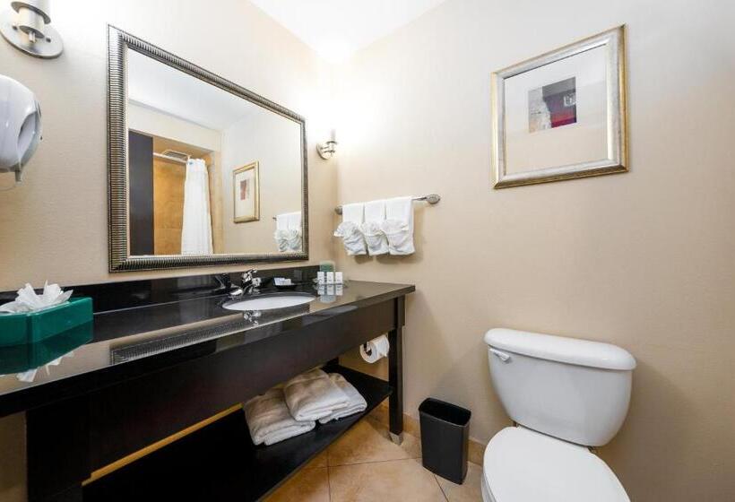 带大床的豪华间, Holiday Inn Temple   Belton, An Ihg