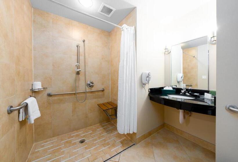 适合残疾人士使用的带超级大床的标准间, Holiday Inn Temple   Belton, An Ihg