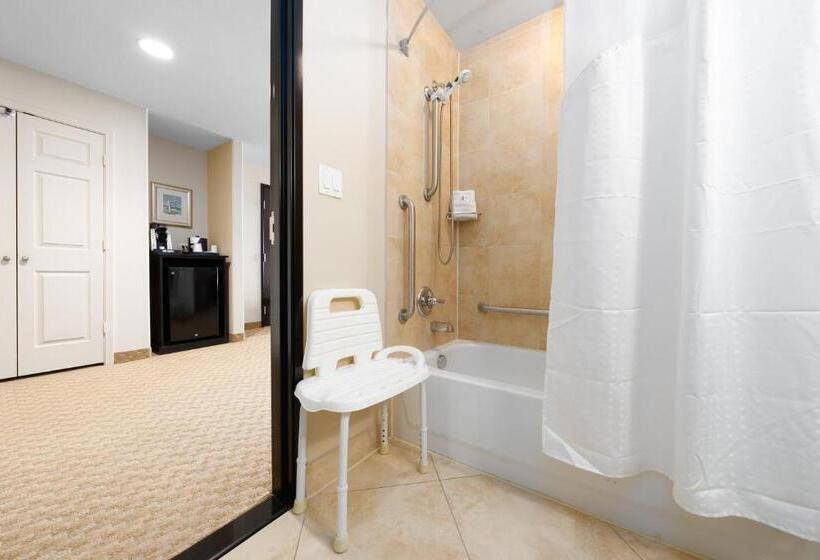 适合残疾人使用的标准间, Holiday Inn Temple   Belton, An Ihg