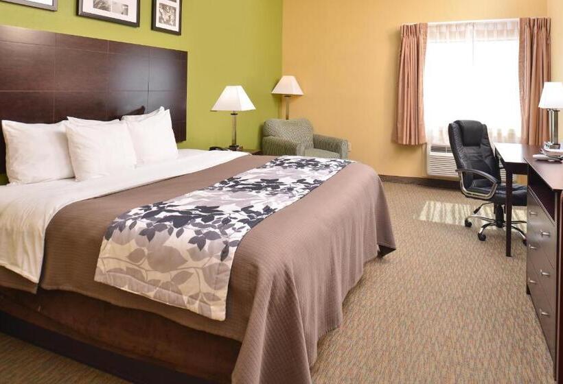 キングサイズベッドのスタンダードルーム, Sleep Inn And Suites Downtown Houston