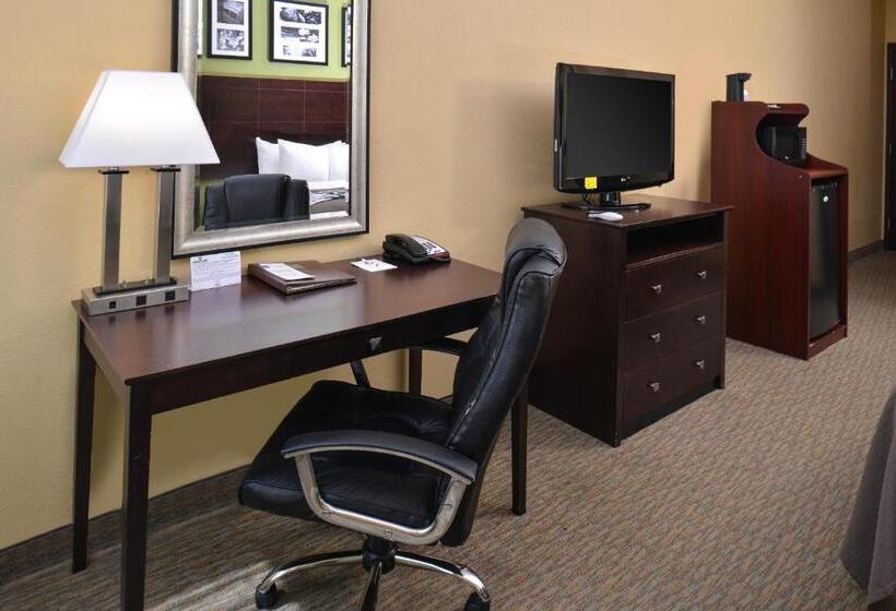 キングサイズベッドのスタンダードルーム, Sleep Inn And Suites Downtown Houston