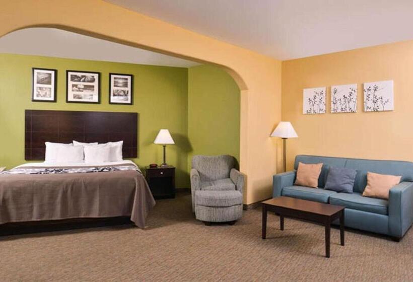 スイート, Sleep Inn And Suites Downtown Houston