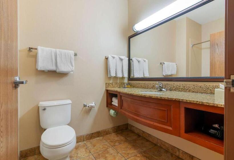 Номер Стандарт, Best Western Plus Butterfield Inn