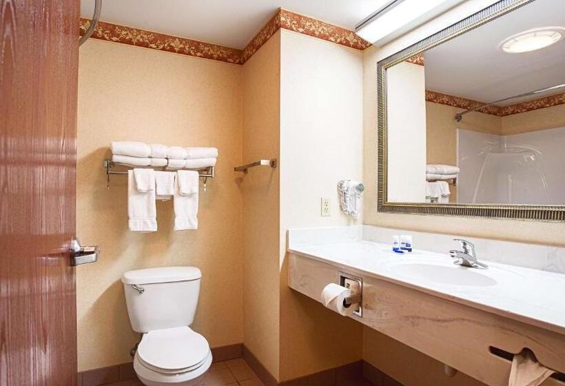 Стандартный Номер Кровать Кинг, Best Western Danville Inn