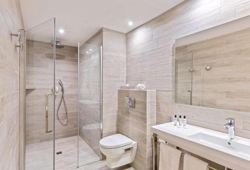 اتاق راحتی, Best Western Hotel Du Roy D Aragon