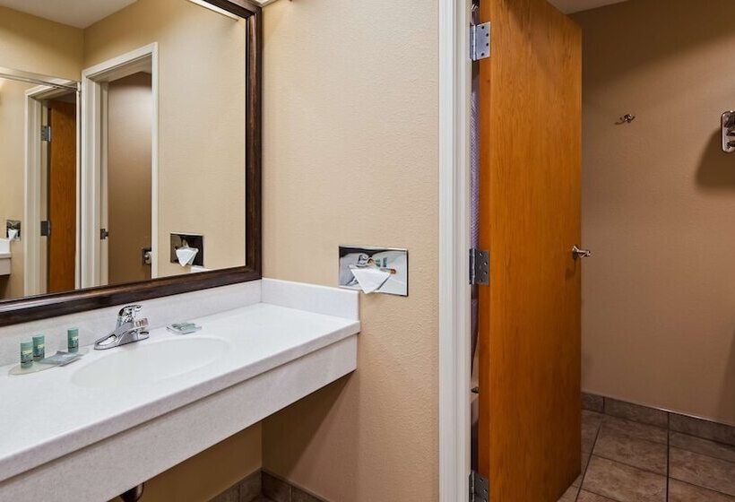 Номер Стандарт Двуспальная Кровать, Best Western Lodge At River S Edge