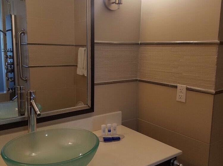 Люкс, Best Western Plus Flowood Inn & Suites