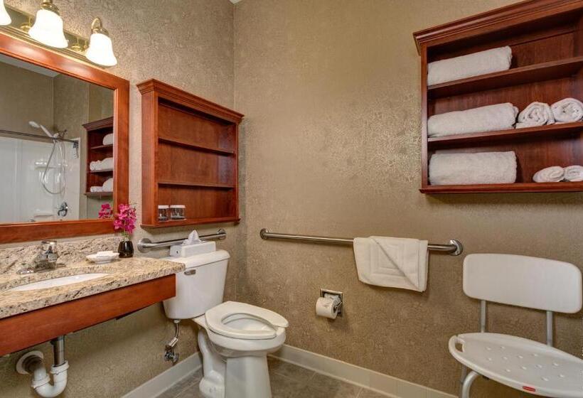Номер Стандарт Адаптированный для Инвалидов, Best Western Plus Mentor Cleveland Northeast