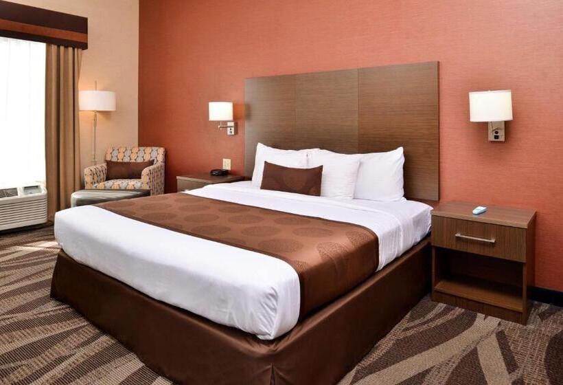 带大床的标准间, Best Western Plus University Inn