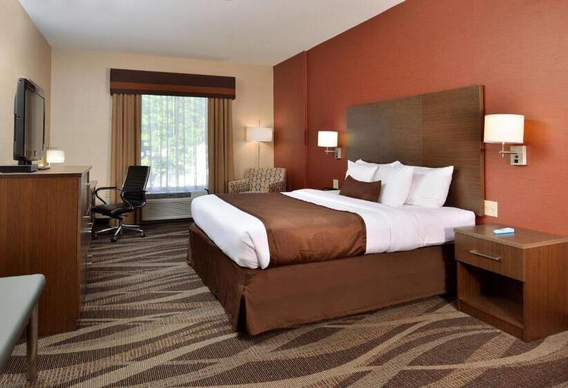 带大床的标准间, Best Western Plus University Inn