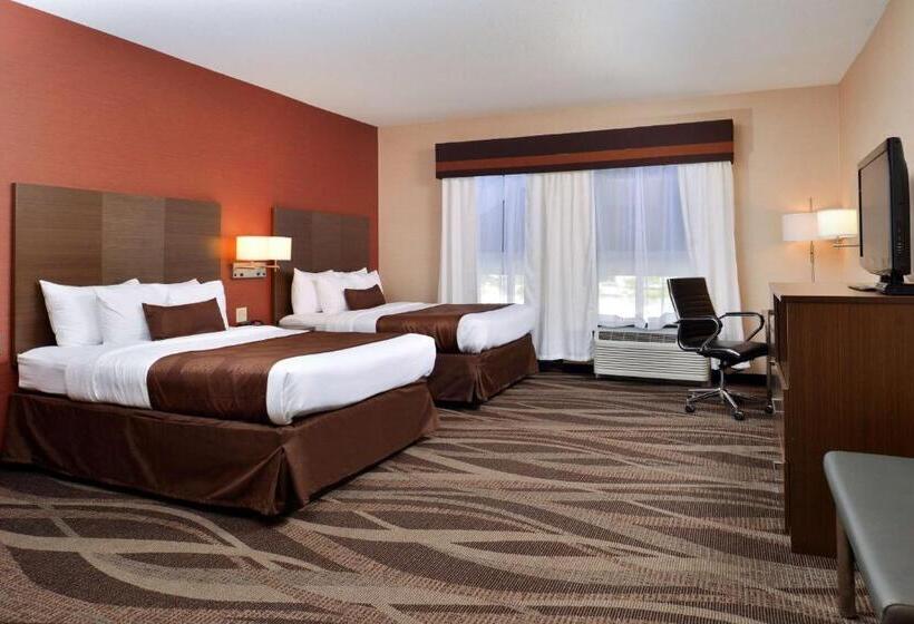 标准间, Best Western Plus University Inn