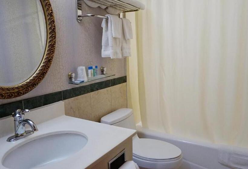 اتاق استاندارد با تخت بزرگ, Best Western Queens Court