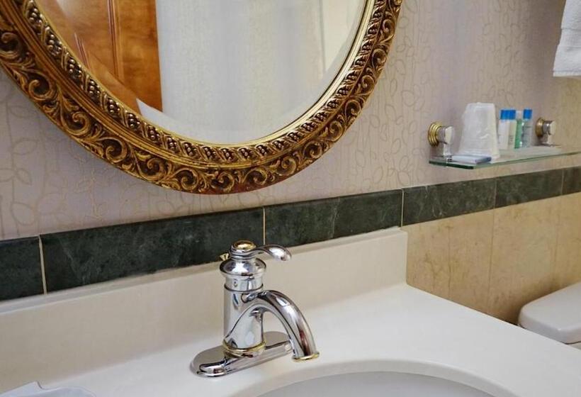 اتاق استاندارد با تخت بزرگ, Best Western Queens Court