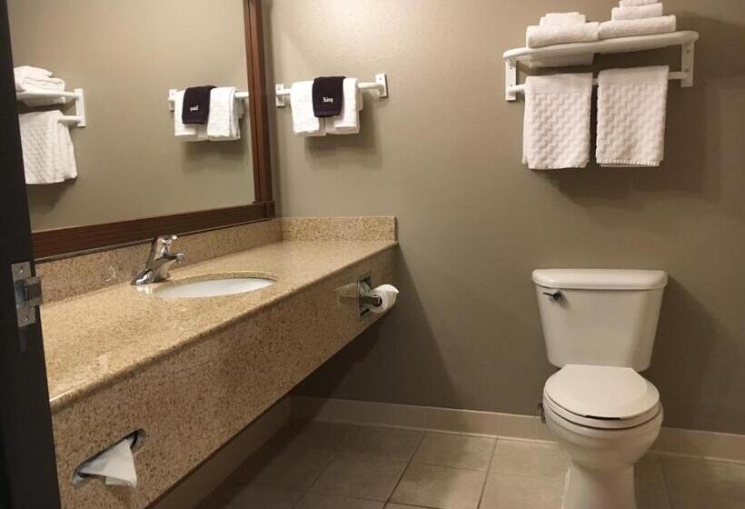 Стандартный Номер Кровать Кинг, Best Western Wheatland Inn