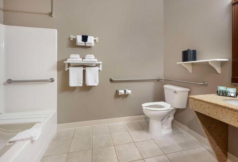 Номер Стандарт Кровать Кинг Адаптированный для Инвалидов, Best Western Wheatland Inn