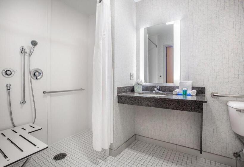 장애인을 위한 킹사이즈 침대 스탠다드 룸, Holiday Inn Express Wisconsin Dells, An Ihg