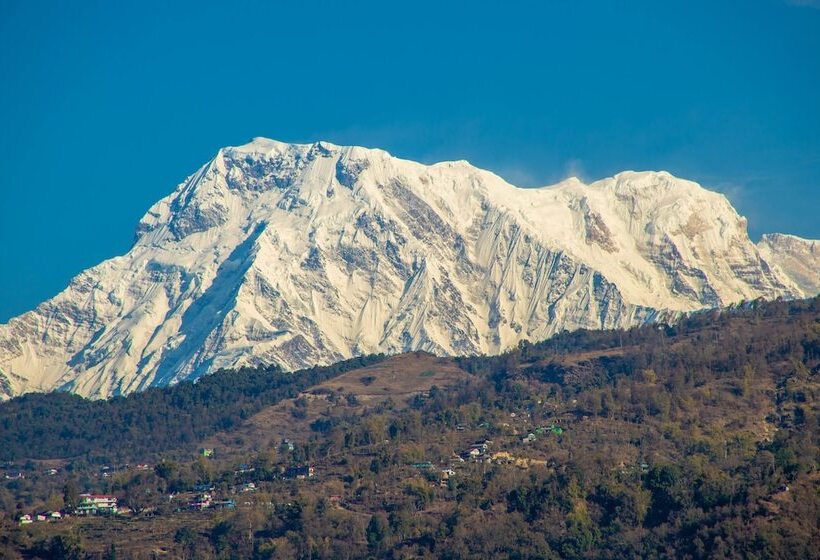 اتاق استاندارد, Landmark Pokhara