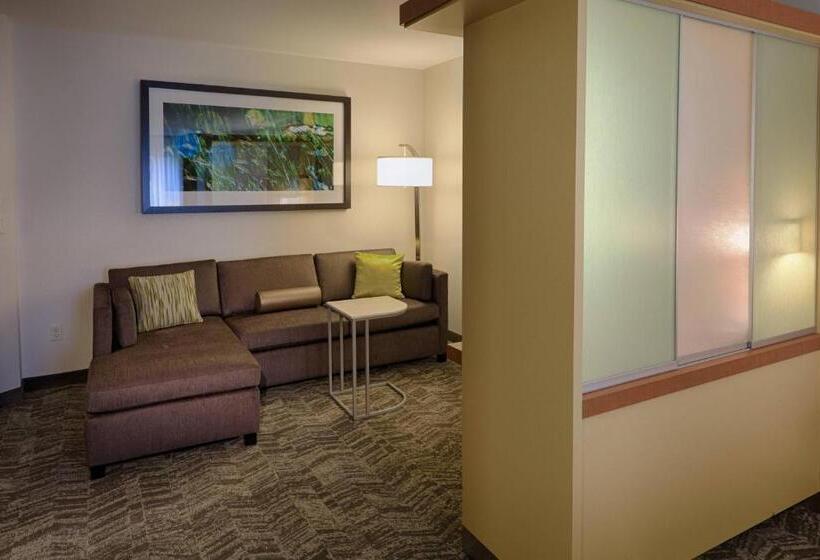 스위트 킹사이즈 침대, Springhill Suites By Marriott Albany Latham Colonie