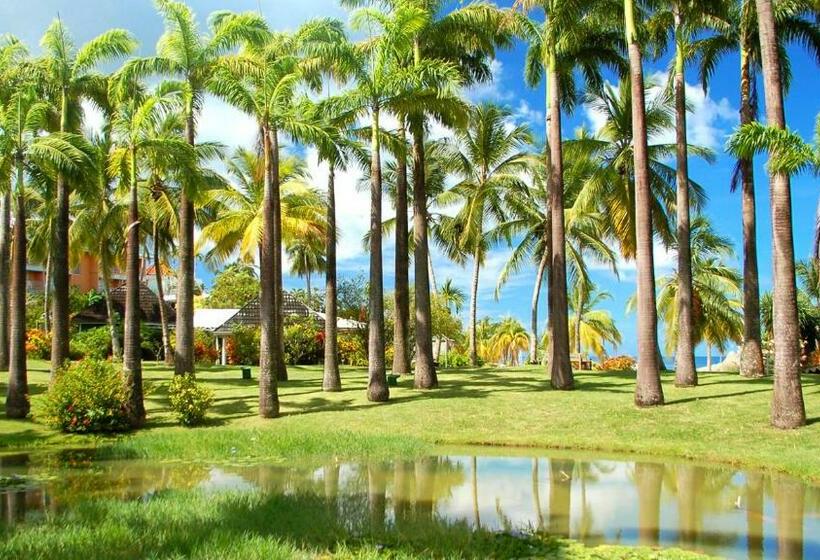 اتاق پرستیژ, Bakoua Martinique