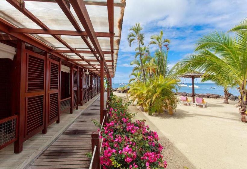 اتاق لوکس, Bakoua Martinique