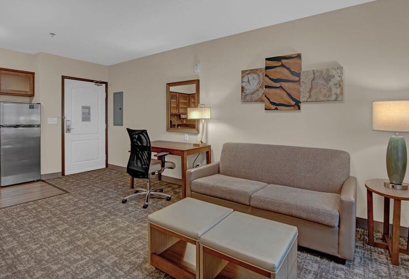 Студия Стандарт, Staybridge Suites Salt Lake West Valley City, An Ihg