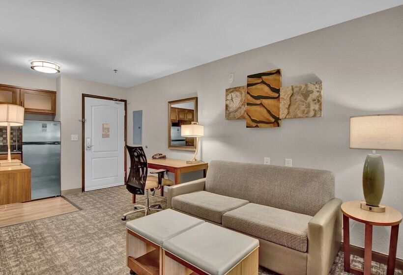 Студия Стандарт, Staybridge Suites Salt Lake West Valley City, An Ihg