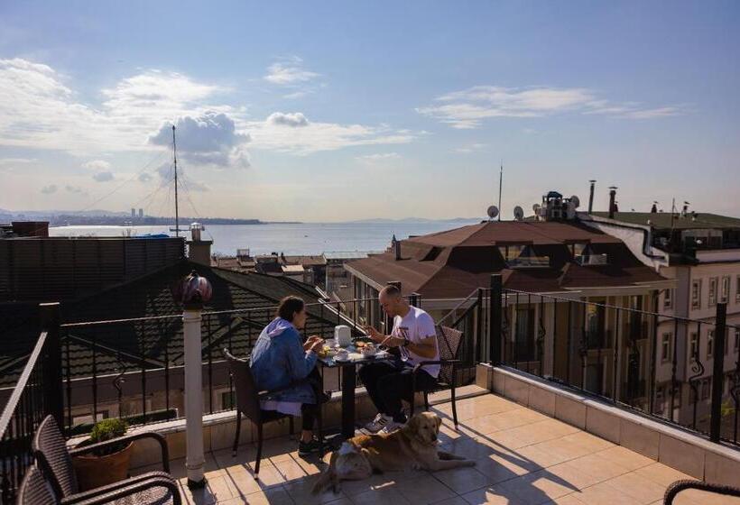 تختخواب در اتاق مشترک, Agora Guesthouse
