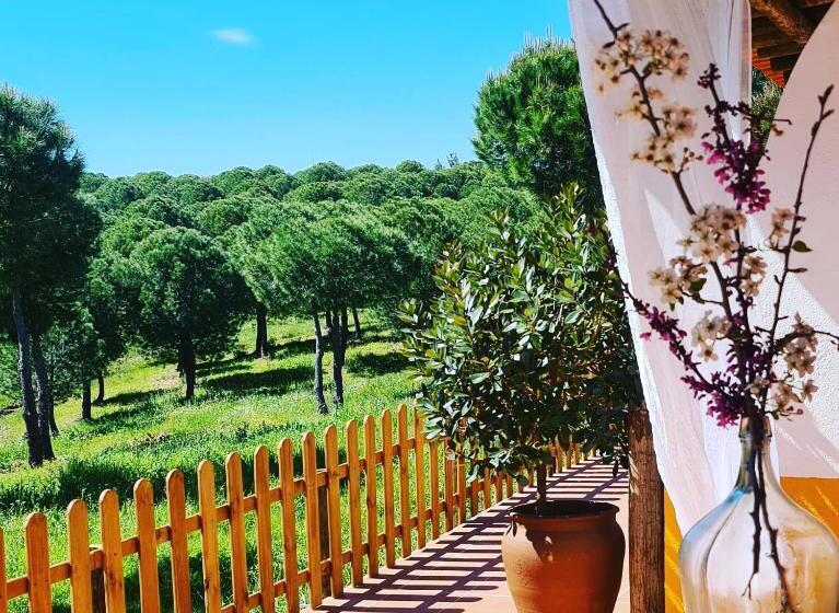 Номер Стандарт с Террасой, Herdade Do Rio Torto