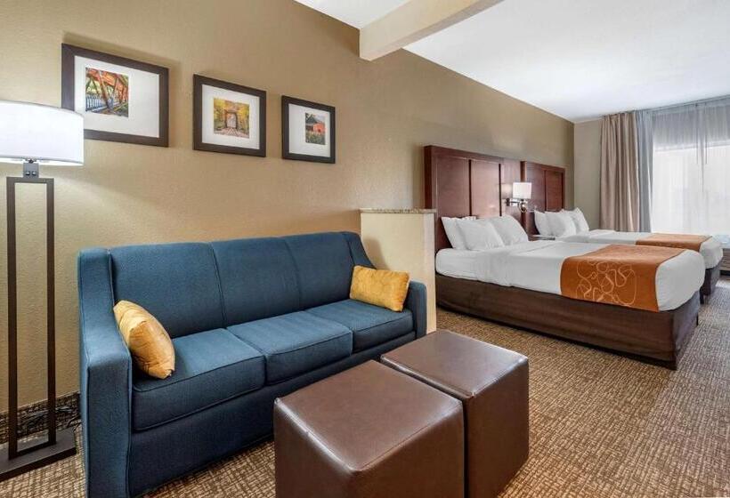스위트, Comfort Suites Auburn Near I69
