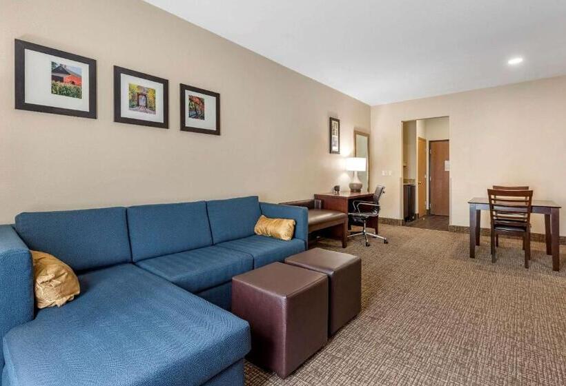 Семейный Номер, Comfort Suites Auburn Near I69