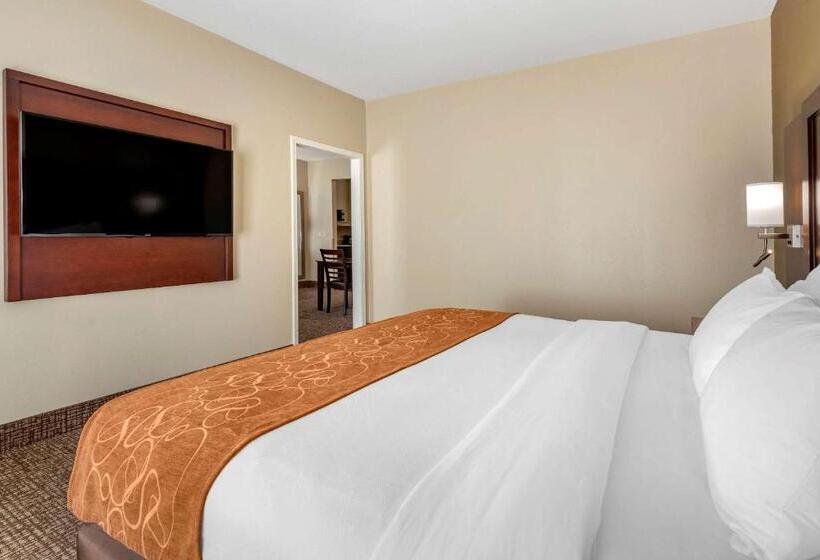 패밀리 룸, Comfort Suites Auburn Near I69