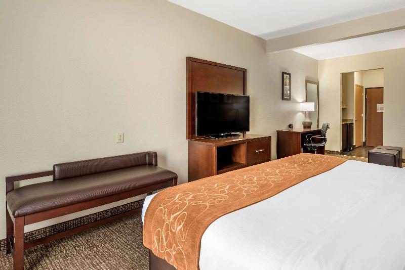 스위트 킹사이즈 침대, Comfort Suites Auburn Near I69