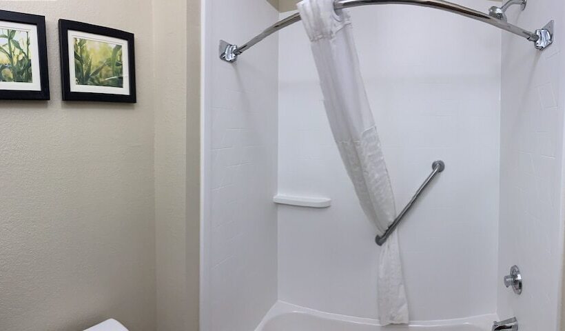 Люкс, Comfort Suites Auburn Near I69