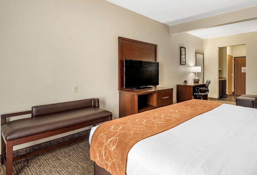 스위트, Comfort Suites Auburn Near I69