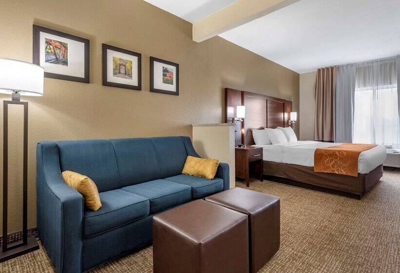 Люкс, Comfort Suites Auburn Near I69