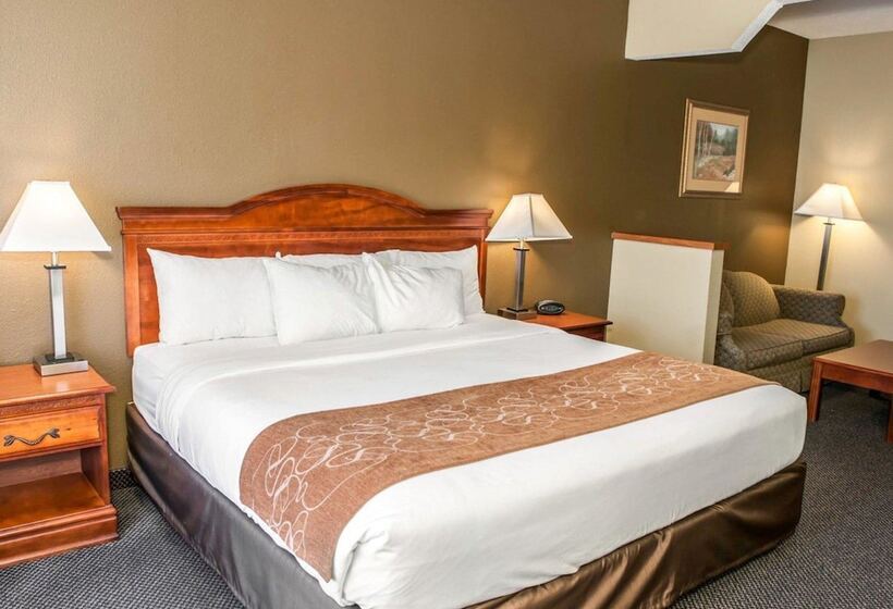 스위트, Comfort Suites Auburn Near I69