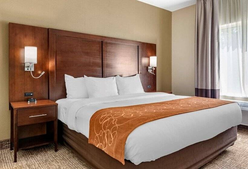 Люкс, Comfort Suites Auburn Near I69