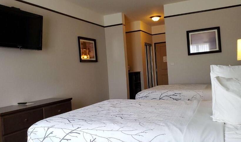 标准间, Best Western Plus Emory At Lake Fork Inn & Suites