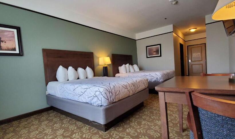 标准间, Best Western Plus Emory At Lake Fork Inn & Suites