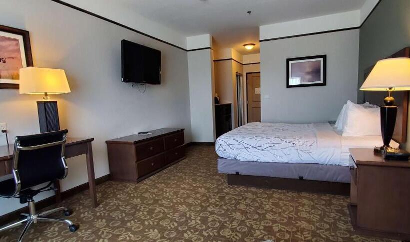 带大床的标准间, Best Western Plus Emory At Lake Fork Inn & Suites