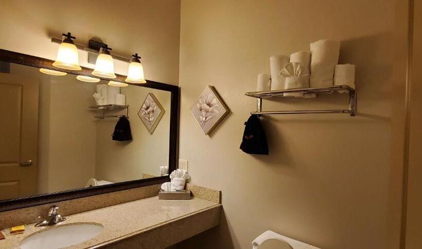 带大床的标准间, Best Western Plus Emory At Lake Fork Inn & Suites