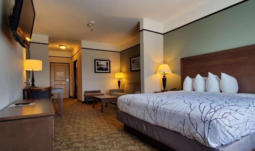 套房, Best Western Plus Emory At Lake Fork Inn & Suites
