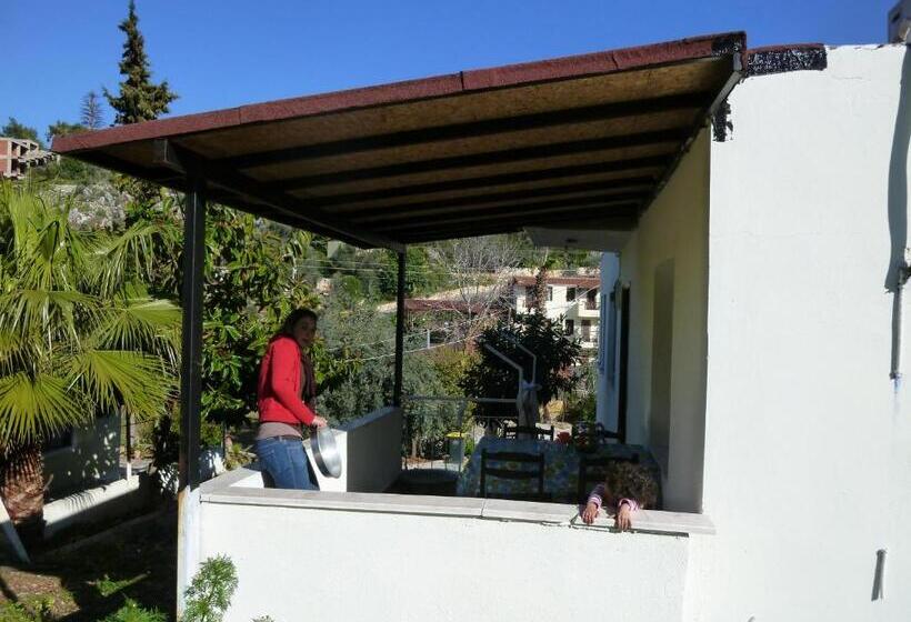 اتاق خانوادگی, Rose Hotel B&b