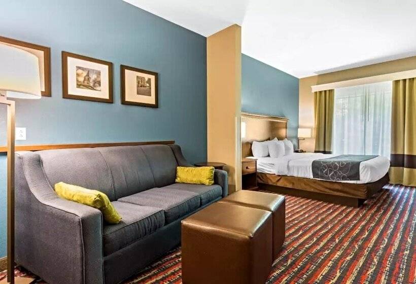 Люкс Адаптированный для Инвалидов, Comfort Suites