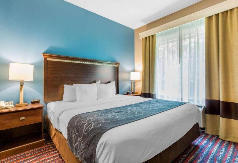 Люкс Кровать Кинг, Comfort Suites