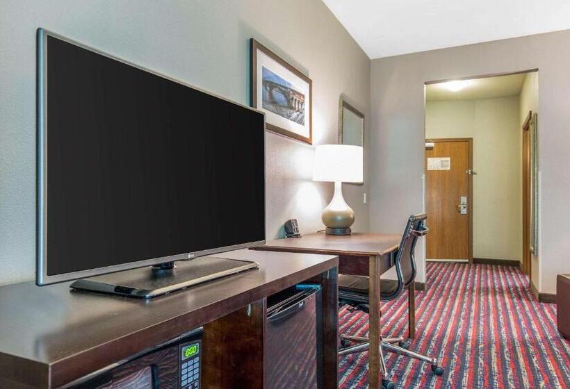 Номер Стандарт Адаптированный для Инвалидов, Comfort Suites